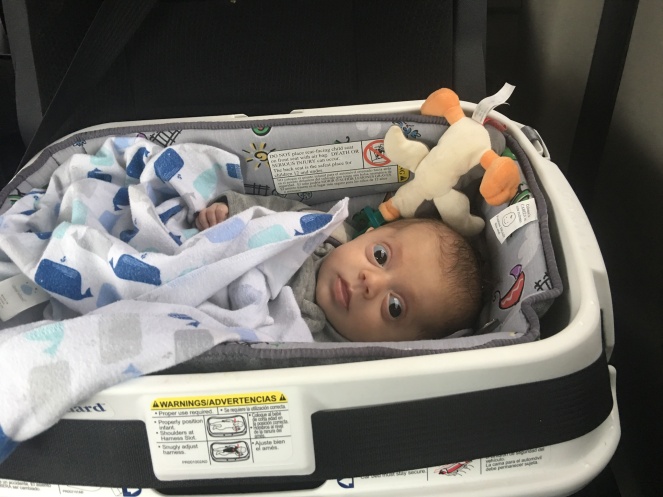 car bed for medically fragile infant